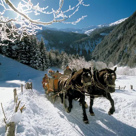 Apartment Antenbachhof *