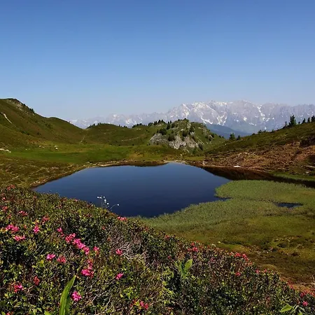 Antenbachhof Apartament