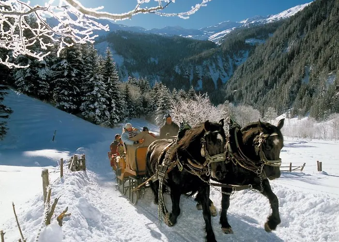 Apartment Antenbachhof *